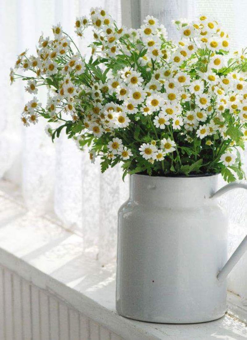 Evinizi Yaz Çiçekleriyle Süsleme